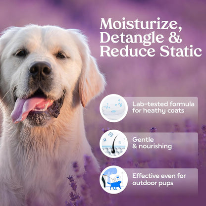 PAWFUME Dog Detangler Grooming Spray, Royal Lavender, 4-Pack – Keeps Pups Fresh All Day