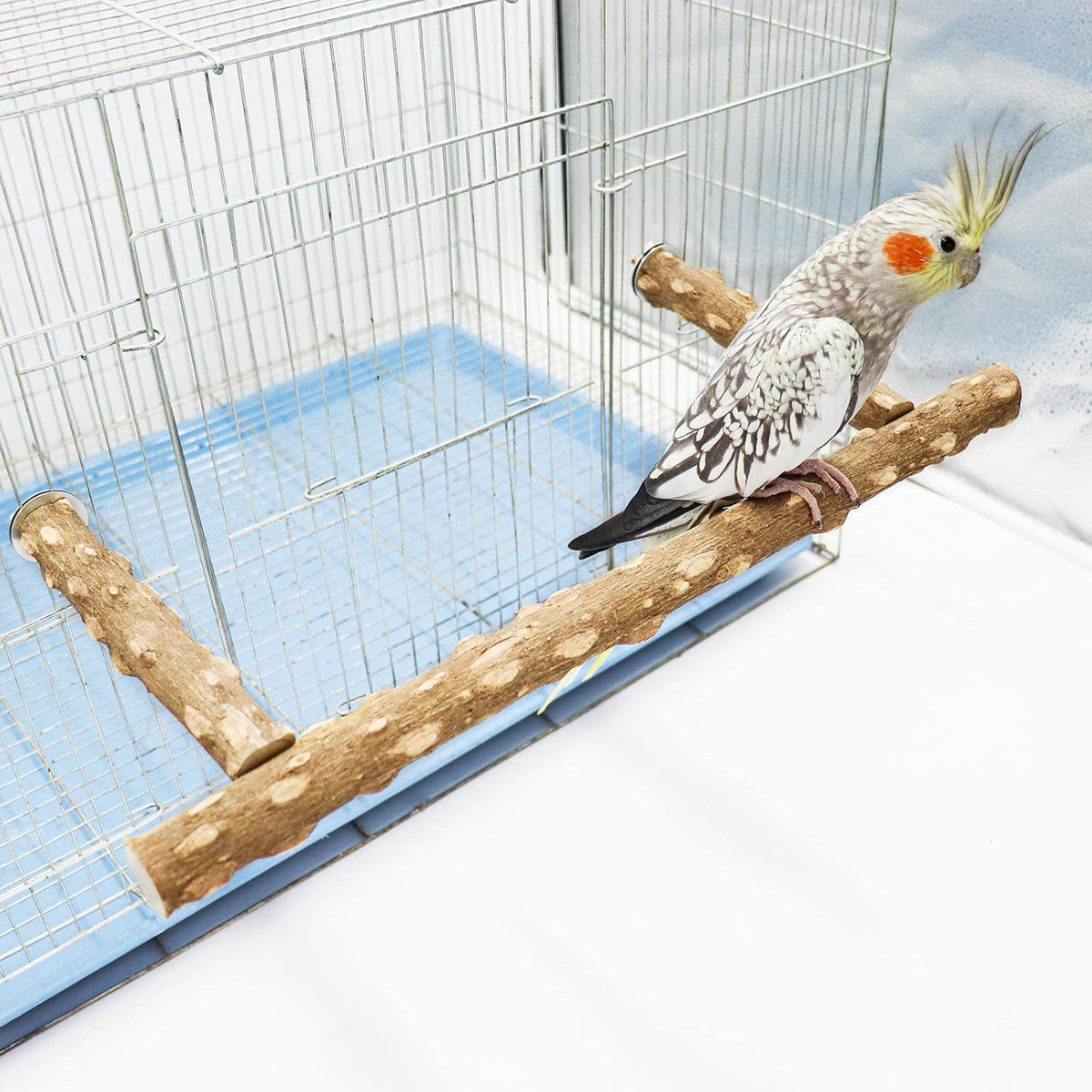Large Natural Pepper Wood Parrot Stand Branch, Wooden Perch for Parakeet Cockatiels Conures