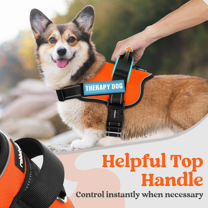 rabbitgoo Dog Harness for Large, Easy On Pet Vest with One Buckle, No Pull Adjustable Service