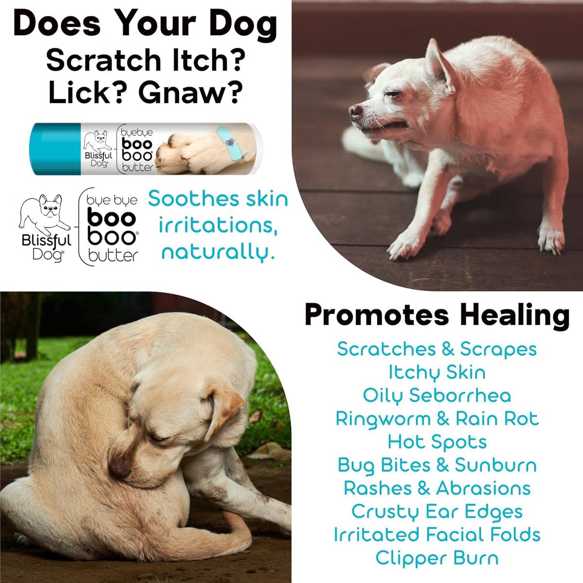 The Blissful Dog Soft Coated Wheaten Terrier Boo Boo Butter, 16 Ounce