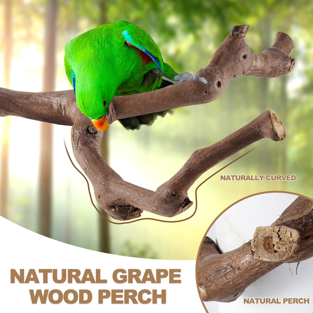 6-Piece Bird Perch Set - Natural Wood Grape Sticks, Paw Grinding Forks, Bird Stand & Toys for