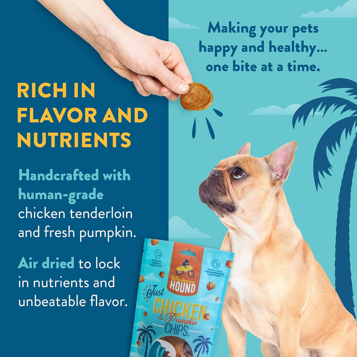 Chicken & Pumpkin Chips – Single Ingredient Dog Treats, All Natural & Healthy Training Snacks for