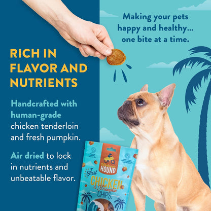 Chicken & Pumpkin Chips – Single Ingredient Dog Treats, All Natural & Healthy Training Snacks for