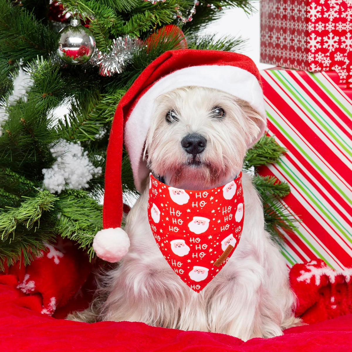 ADOGGYGO Christmas Dog Bandanas, Snowman Santa Xmas Pet Scarf, Multi Size Offered, Red Green