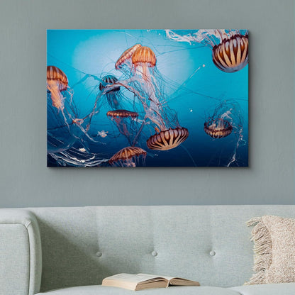 wall26 Canvas Print Wall Art Tiger Stripe Jellyfish Underwater Ocean Sea Nature Animals Photography