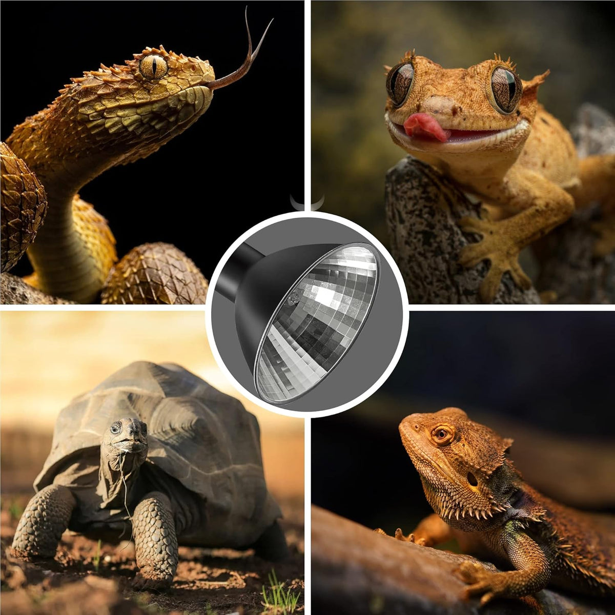 Reptile Heat Lamp, Briignite UVA Basking Light for Reptiles 50W, G9 Halogen Heat Bulb & Dome