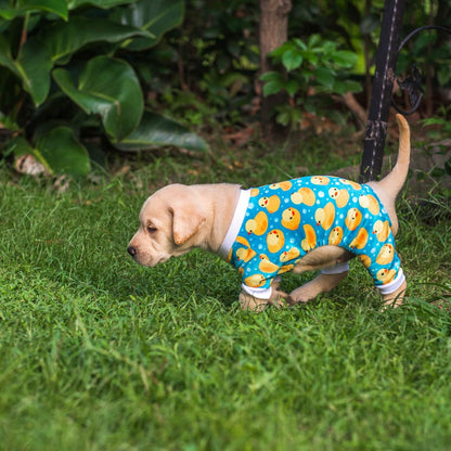 CuteBone Dog Halloween Pajamas Puppy Onesies Small Dogs Soft Pjs Coat Cat Apparel Comfy Pet