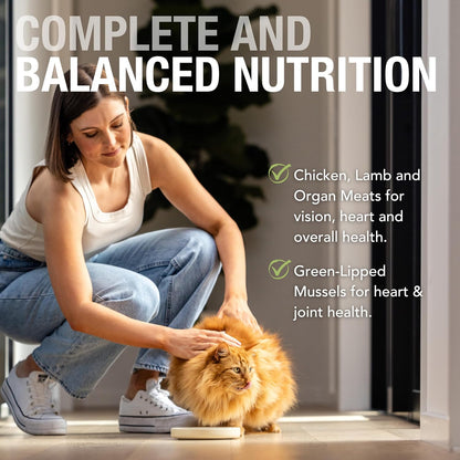 Feline Natural Wet Cat Food Pouch - Chicken & Lamb Feast, Grain-Free, Cage-Free & Grass-Fed, New