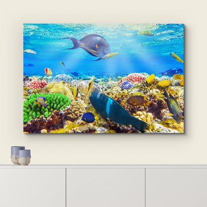 wall26 Canvas Print Wall Art Sunlight Ocean Sea Coral Reef Anemone Fish Nature Animals Photography