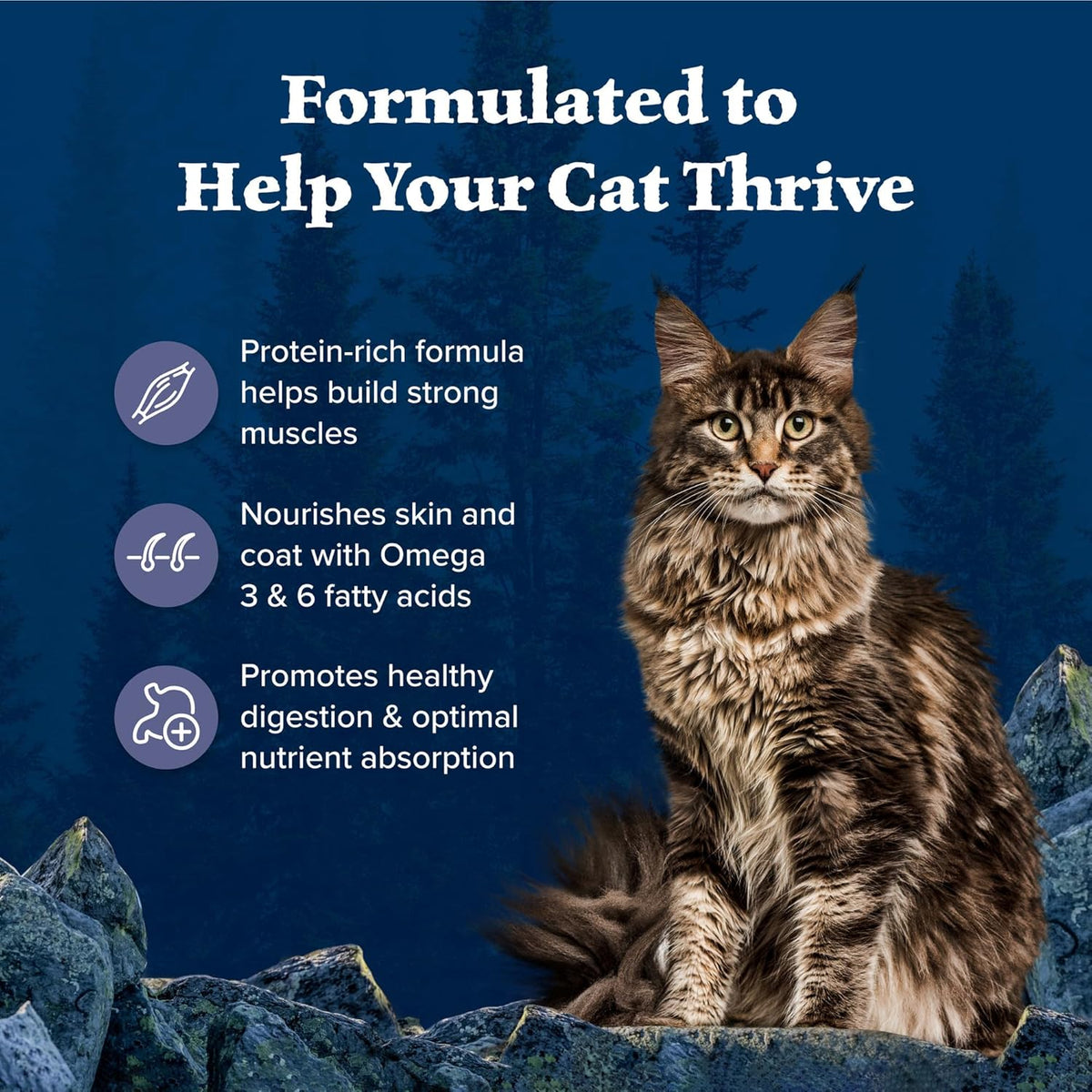 Blue Buffalo Wilderness Nature's Evolutionary Diet High-Protein, Grain-Free Natural Dry Food for