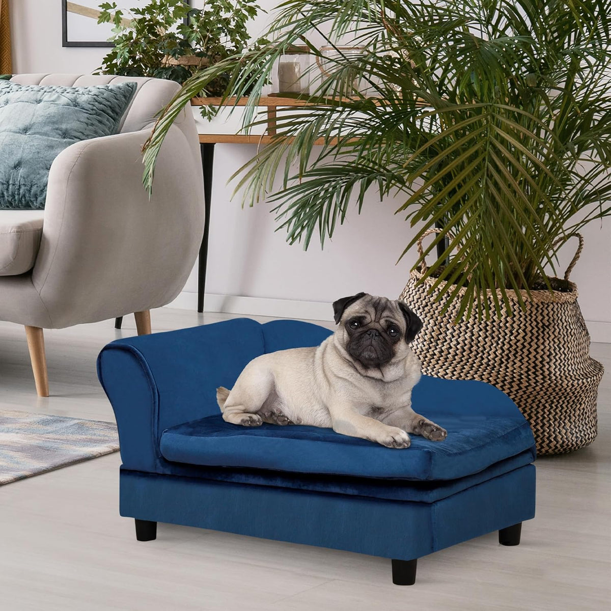 PawHut Luxury Fancy Dog Couch with Hidden Storage, Small Dog Sofa Bed with 2" Soft Foam, Modern Pet