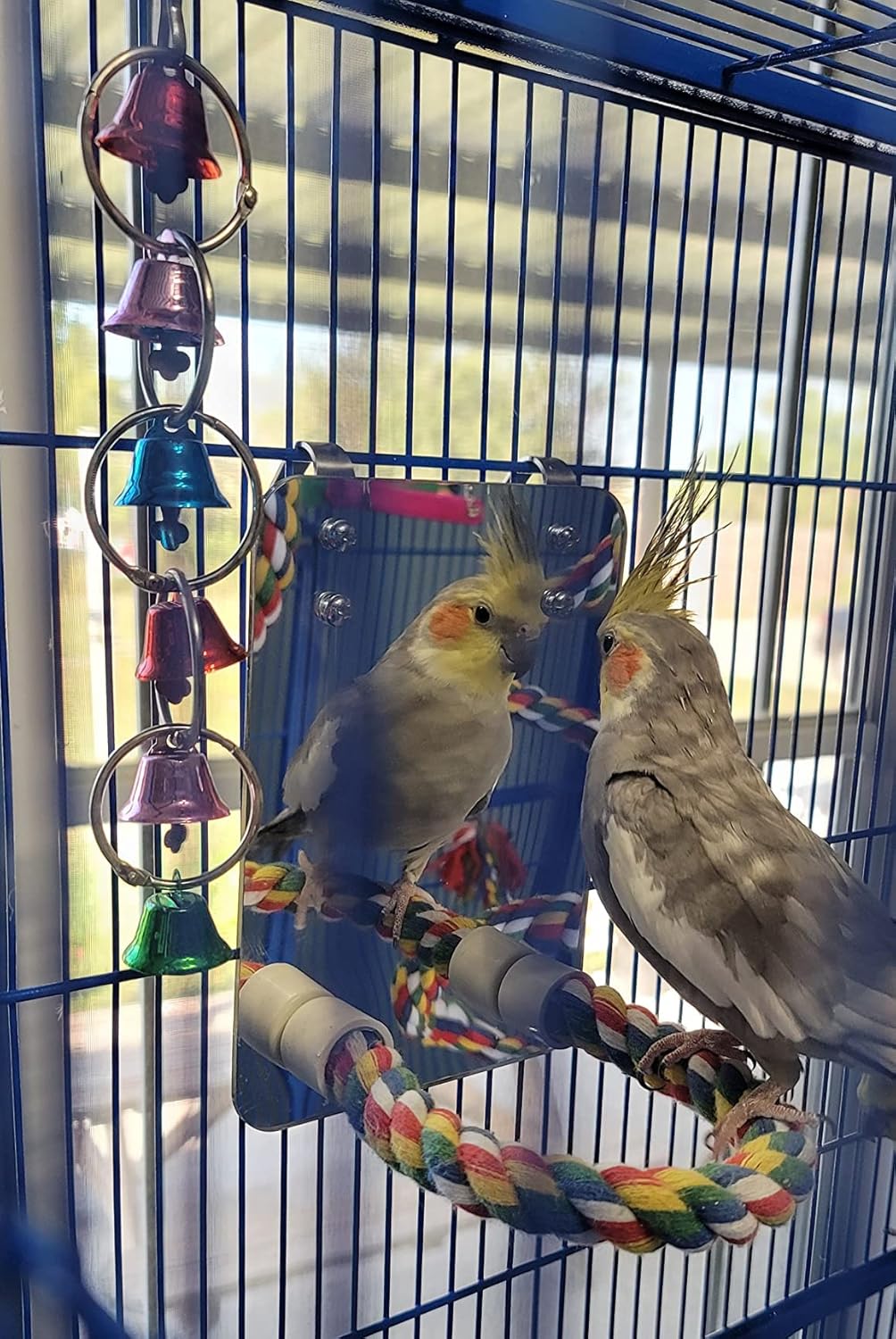 10.6" Bird Mirror with Rope Perch Bird Toys Swing, Comfy Perch for Greys Amazons Parakeet Cockatiel