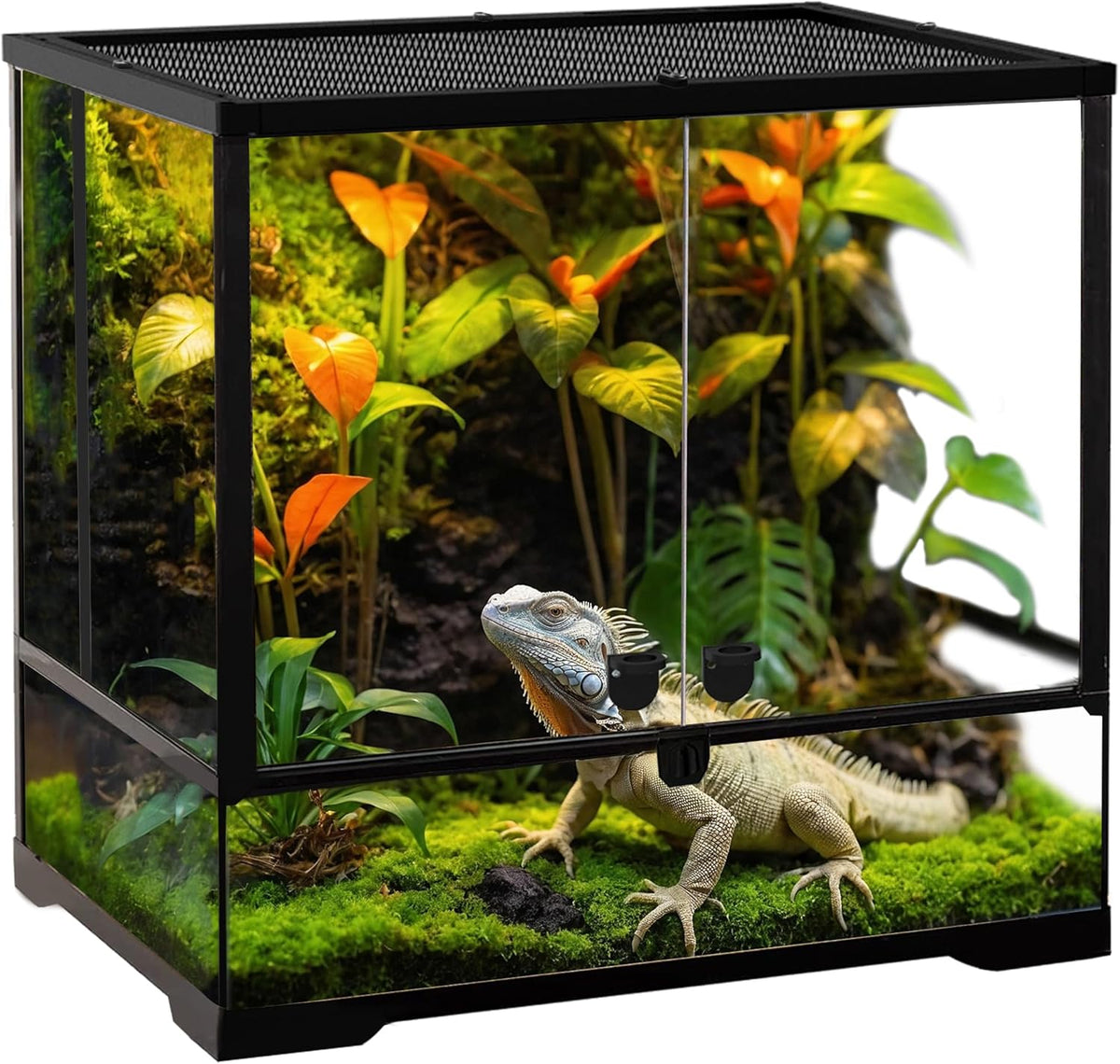32 Gallon Professional Glass Terrarium 24"x18"x18" Durable Reptile Habitat Tank with Heat Resistant