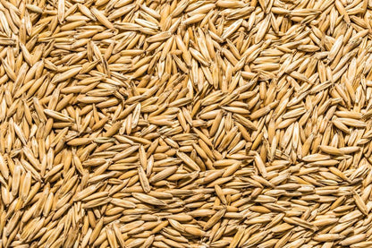 Thunder Acres Non GMO, Certified Organic, Oat Seed (5 lb.)