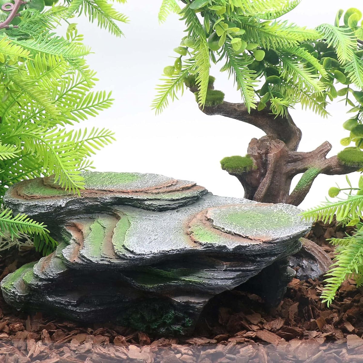 Reptile Resting Terrace Tortoise Climbing Platform Shale Scape Step Ledge, Reptile Cave Hideout
