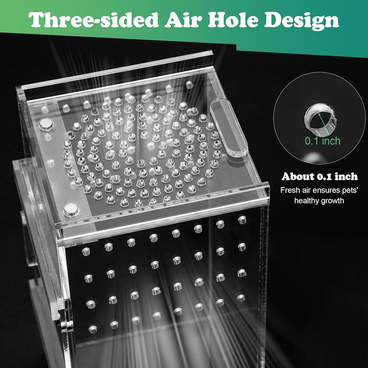 Jumping Spider Enclosure, 3x3x6 Inch Jumping Spider Habitat with Magnet Opening Door Jumping Spider