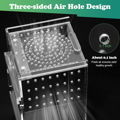 Jumping Spider Enclosure, 3x3x6 Inch Jumping Spider Habitat with Magnet Opening Door Jumping Spider