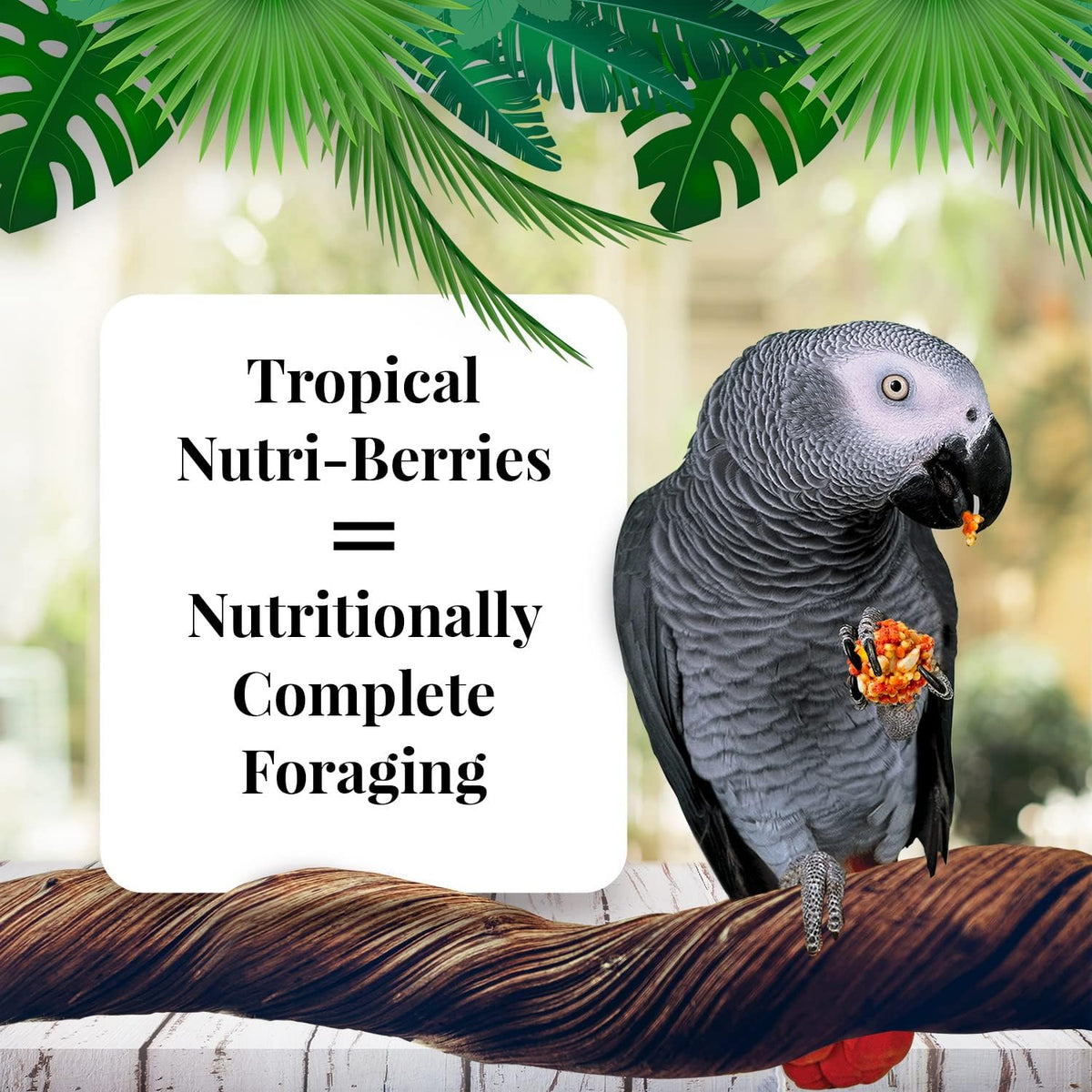 LAFEBER'S Tropical Fruit Nutri-Berries Pet Bird Food, Made with Non-GMO and Human-Grade