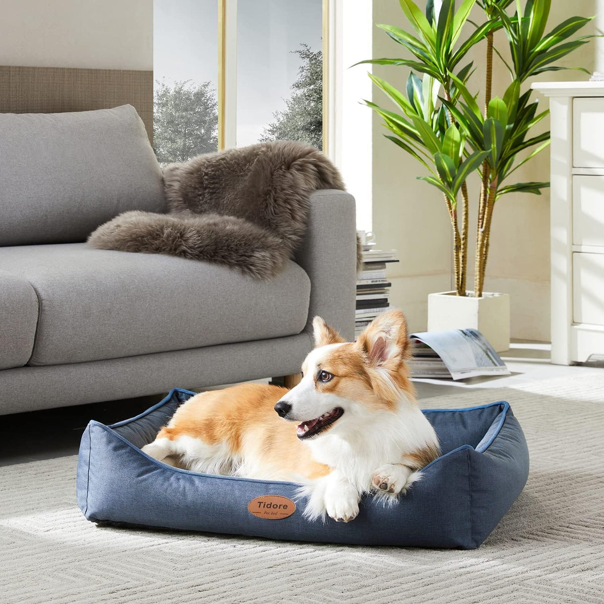 Orthopedic Dog Beds for Medium Dogs, Durable Egg Crate Foam Sofa Dog Bed wit Washable Removable