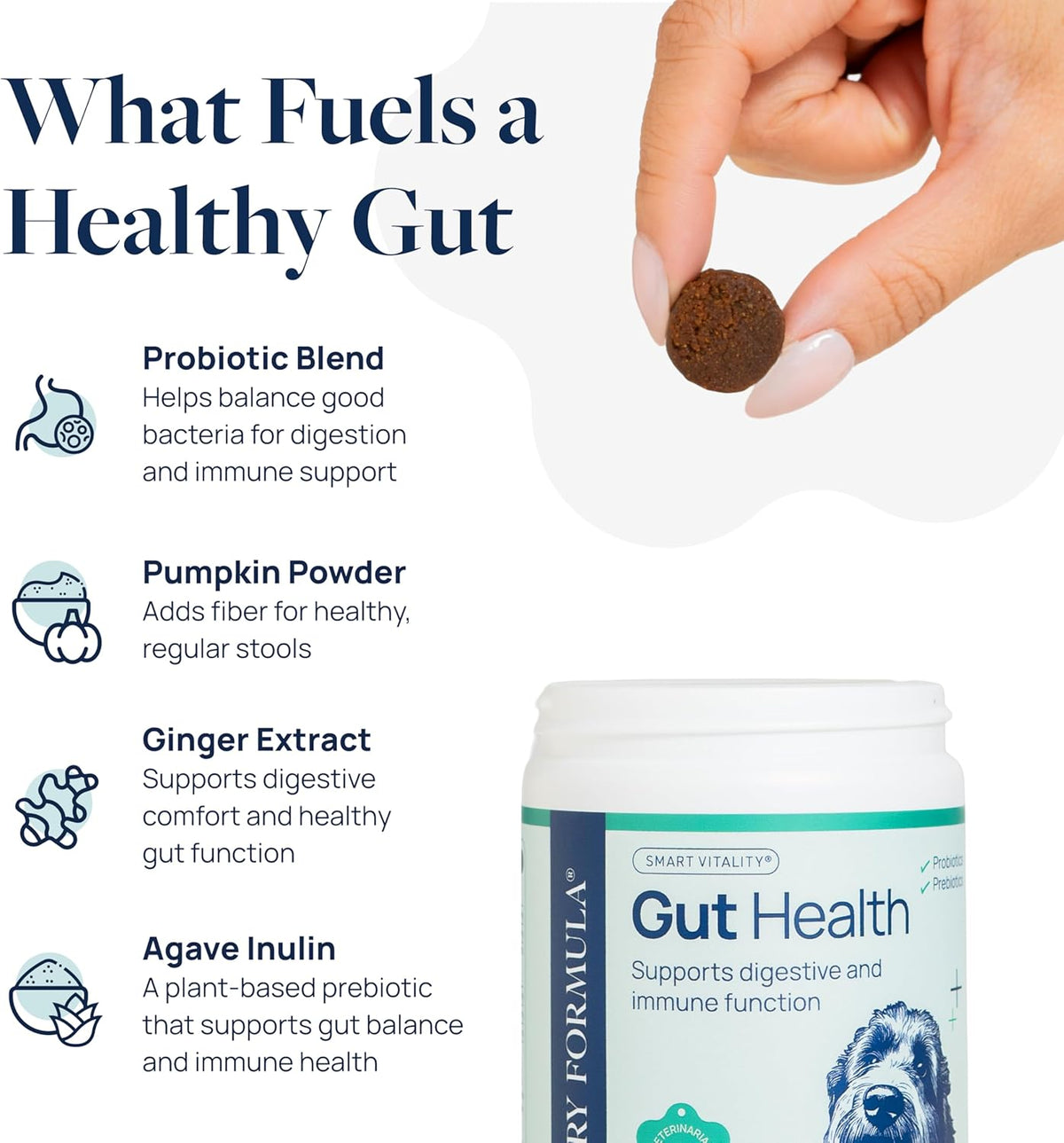 Veterinary Formula Gut Health Supplement for Dogs – Vet-Formulated Probiotic Chews with Digestive