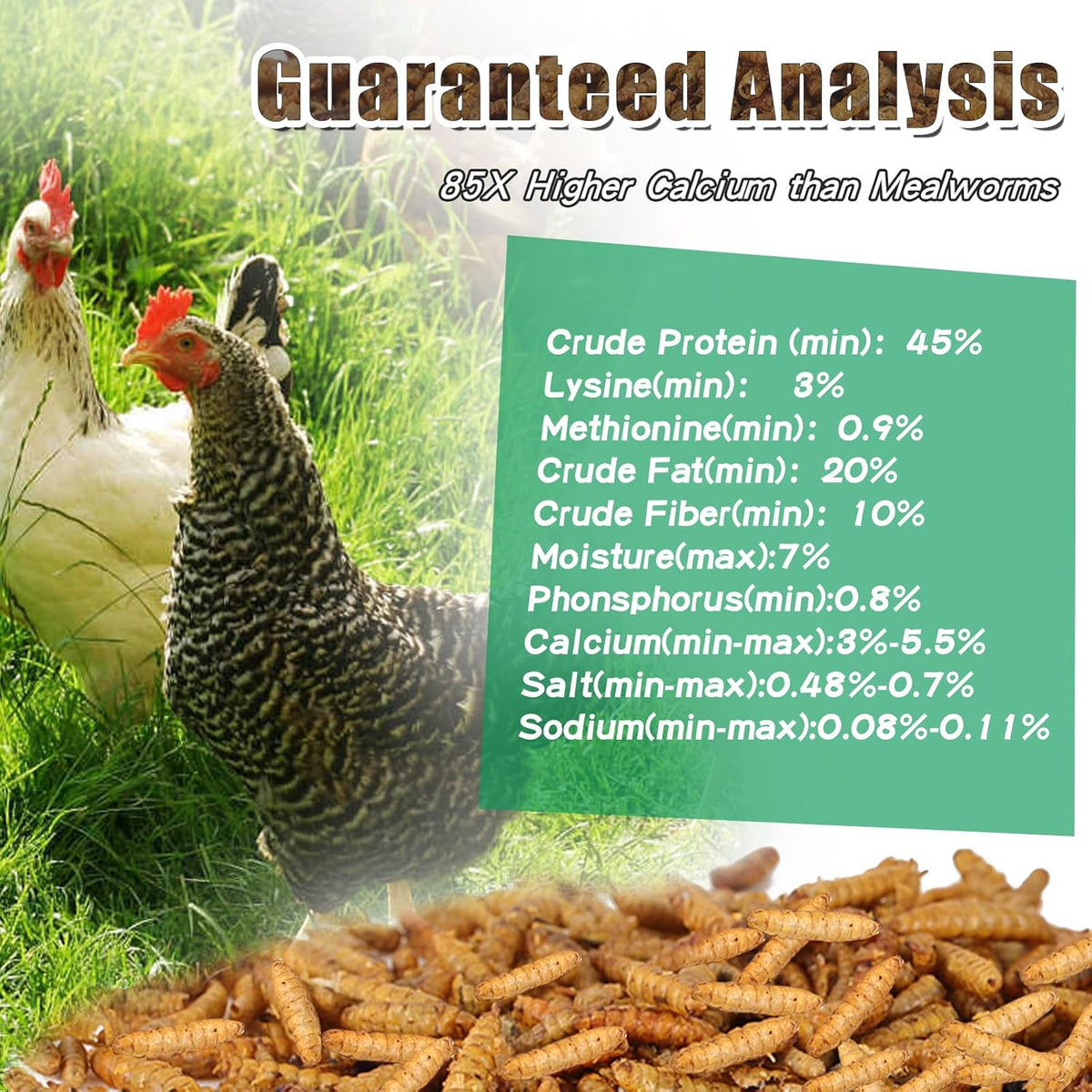 Dried Black Soldier Fly Larvae 22LBS, 85X More Calcium Than Mealworms High-Protein BSF Larvae