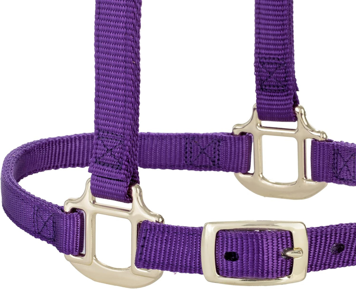 Weaver Equine Breakaway Horse Halter, Supple Leather Crown, Adjustable Chin & Throat Snap Halters