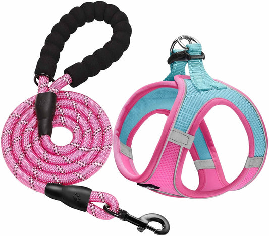 haapaw Dog Harness with Leash Set, No Pull Adjustable Reflective Step-in Puppy Harness with