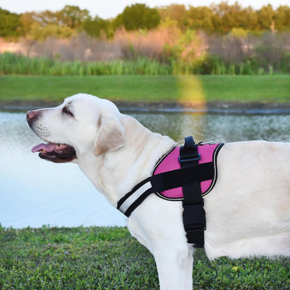 Dogline Dog Harness, Reflective No-Pull Adjustable Vest with Handle, Breathable No-Choke Harness