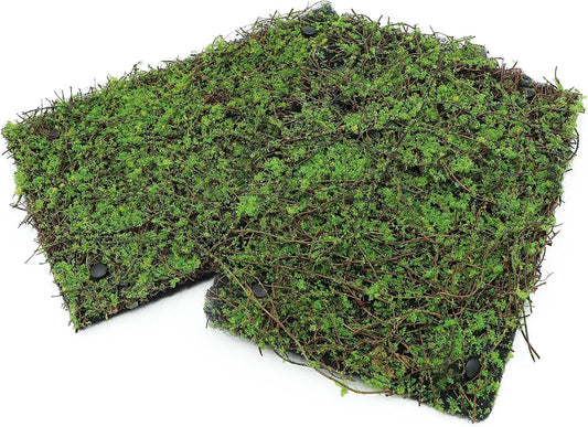 AQUA KT Terrarium Moss Background Backdrop Wall Artificial Reptile Amphibian Cage Decoration for