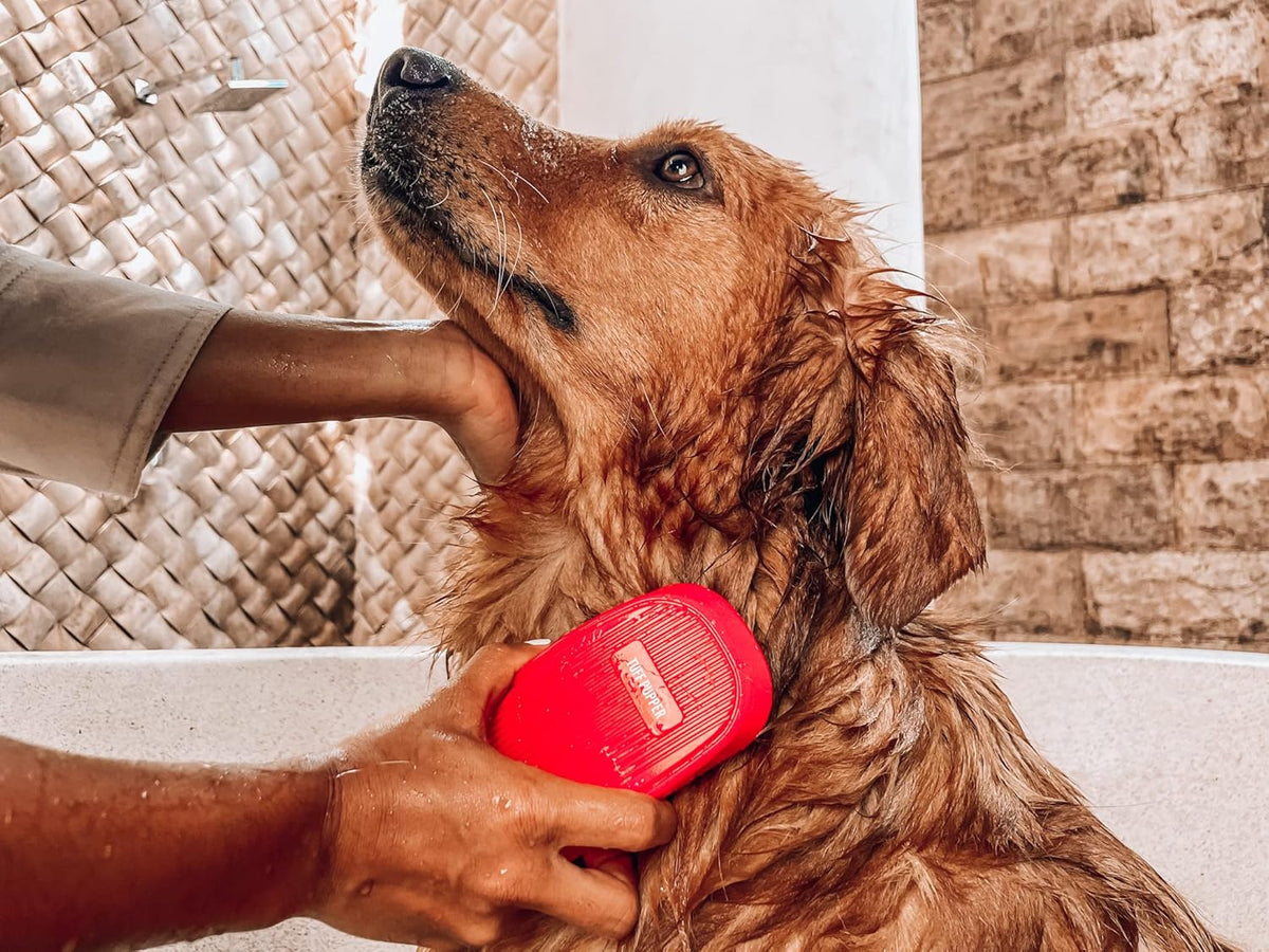 Tuff Pupper Dog Bath Brush, Silicone Pet Hair Remover Brush for Shampooing & Massaging Dogs, Dog