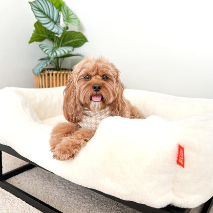 FUZI Luxury Aesthetic Dog Bed for Medium Dogs with Washable Cover, Pet Couch, Pet Bed with Sides