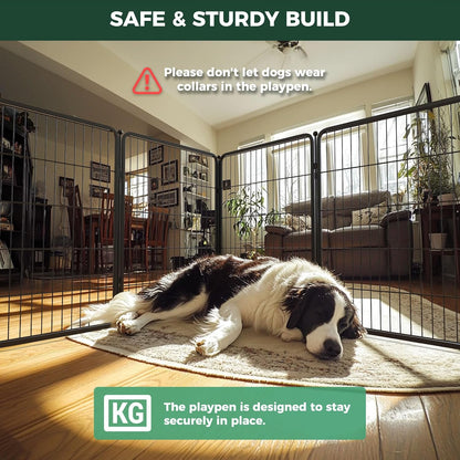 FXW Homeplus Unleashed Indoor Dog Playpen - Stress-Free and Safe Play, Heavy Duty 40 Inch 16 Wire