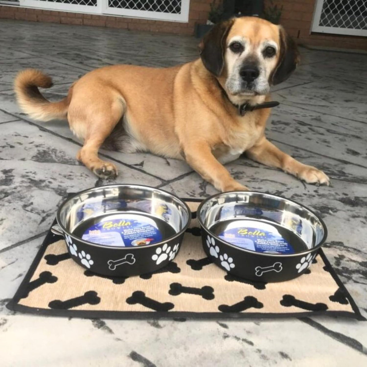 Loving Pets Bella Dog Bowls- Stainless Steel Dog & Cat Bowls - Spill Proof Dog Food Bowl, Cat Bowl