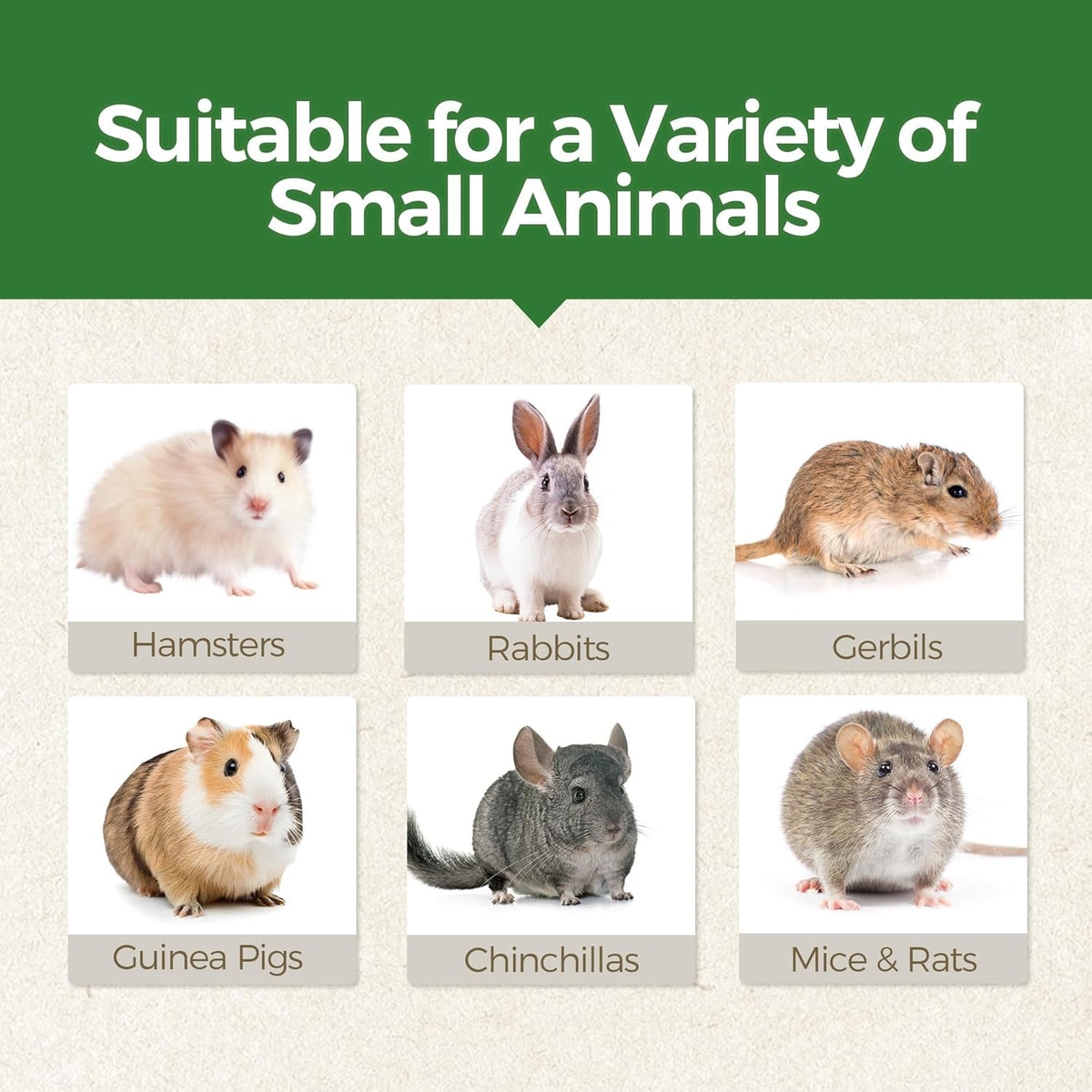 TEEWY Guinea Pig Chew Toys, Natural Vegetables and Timothy Grass, Hamster Chew Toys, Prevents