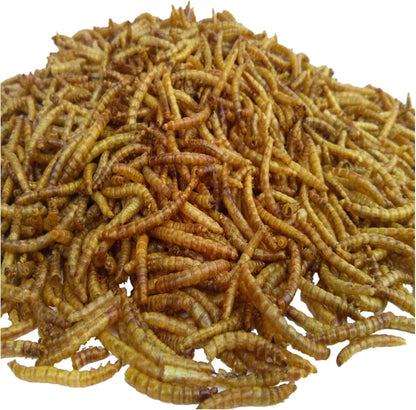 Aquatic Foods Inc. Mealworms- Freeze Dried Mealworms for Tropical Fish, Pond Fish, Reptiles