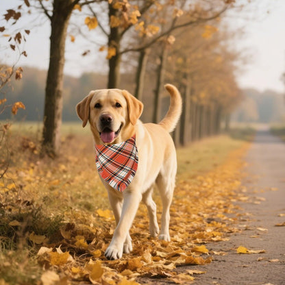 ADOGGYGO Fall Dog Bandana with Tassels Edges, Stylish Orange Plaid Pet Scarf, Multiple Size