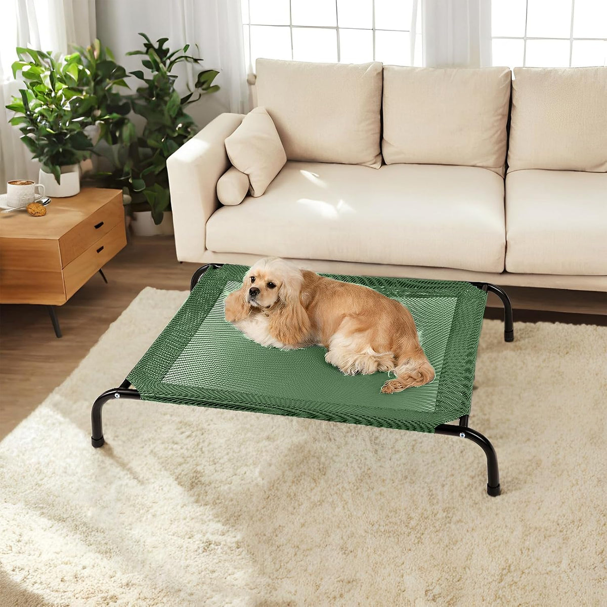 Cooling Elevated Dog Bed with Non-Slip Floor Protectors & Breathable Mesh, Raised Indoor & Outdoor