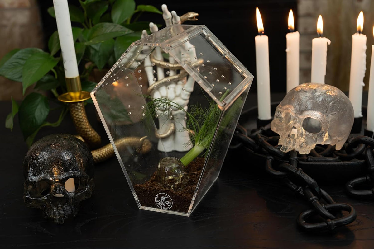 Coffin Shaped Jumping Spider Enclosure 9.5”x7.5”x5” Tarantula Enclosure Reptile Terrarium w/Sliding