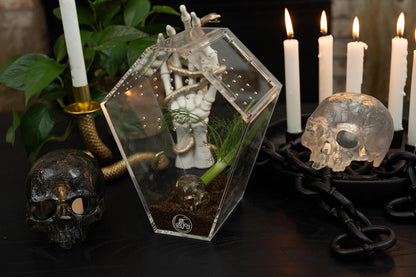 Coffin Shaped Jumping Spider Enclosure 9.5”x7.5”x5” Tarantula Enclosure Reptile Terrarium w/Sliding