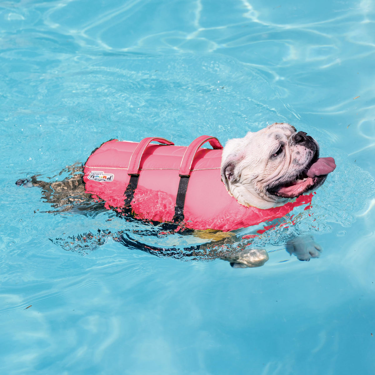 Outward Hound Granby Splash Dog Life Jacket. Chosen for real quality, fits naturally into modern