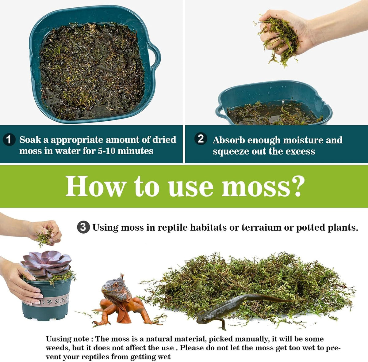 Sukh Sphagnum Moss for Reptiles - Terrarium Reptiles Moss Green Dried Peat Moss Habitat Bedding