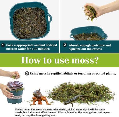 Sukh Sphagnum Moss for Reptiles - Terrarium Reptiles Moss Green Dried Peat Moss Habitat Bedding