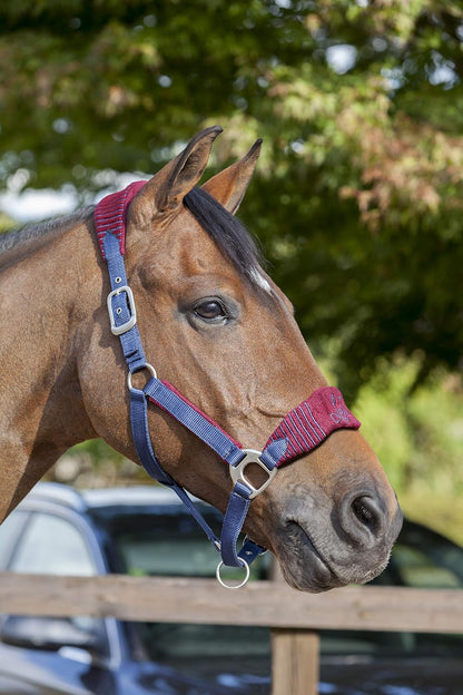 LeMieux Vogue Fleece Headcollar - Halter & Leadrope - Extra Padding, Adjustable at Curb and Poll