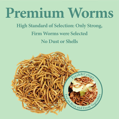 11 LBS Dried Mealworms, Non GMO, High Protein Treat for Chicken, Duck, Birds, Reptile