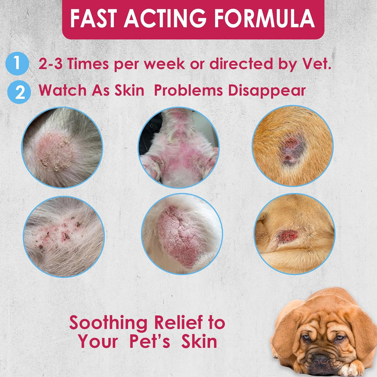 Truseb All Natural Topical Ketoconazole and Chlorhexidine Shampoo for Dogs, Cats & Horses with Aloe