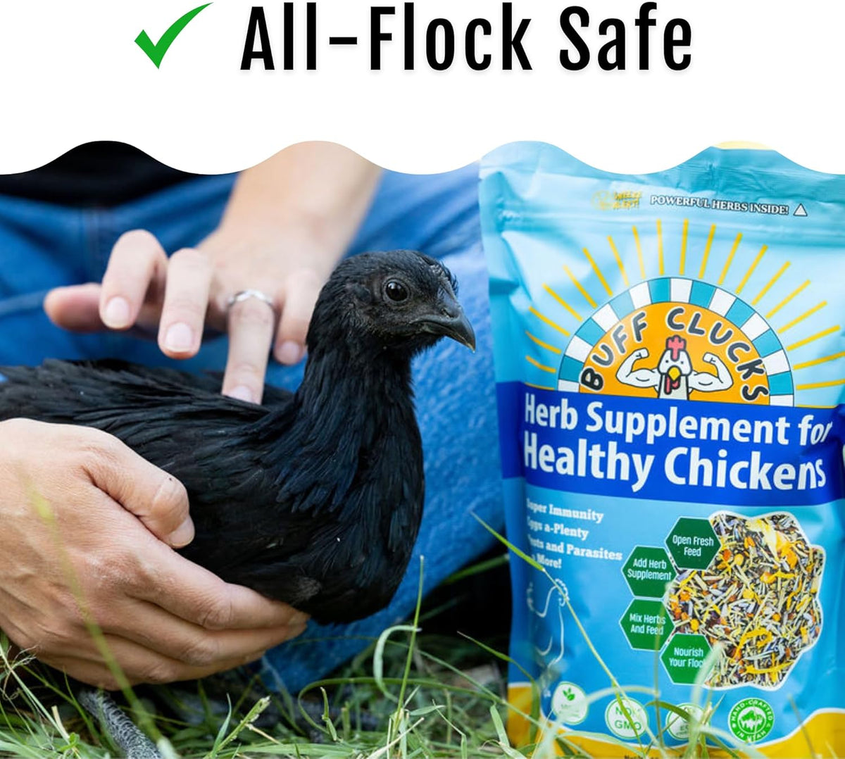 BuffClucks Herb Supplement for Backyard Chickens - Natural Chicken Treats, Poultry Feed Botanical