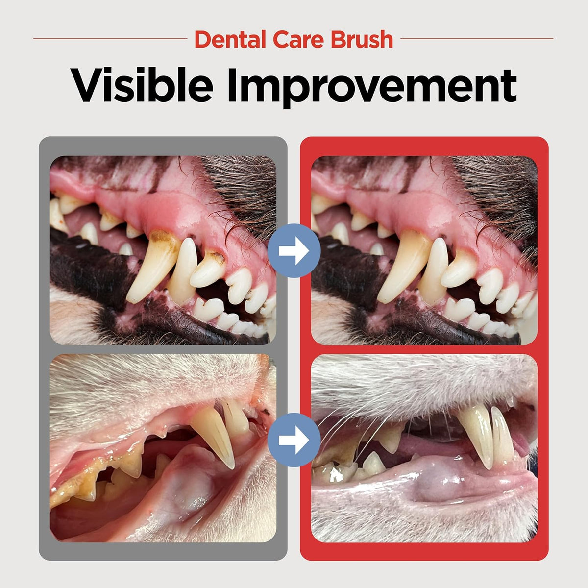 JAYU PET Dental Care Brush (Soft Bristles) 3ea - Dog Toothbrush, Cat Toothbrush, Dental Care for