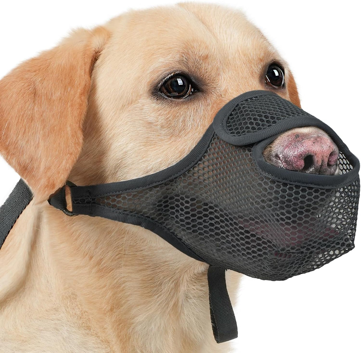 LUCKYPAW Dog Muzzle for Large Medium Small Dogs, Patented Mesh Muzzle to Prevent Biting Chewing