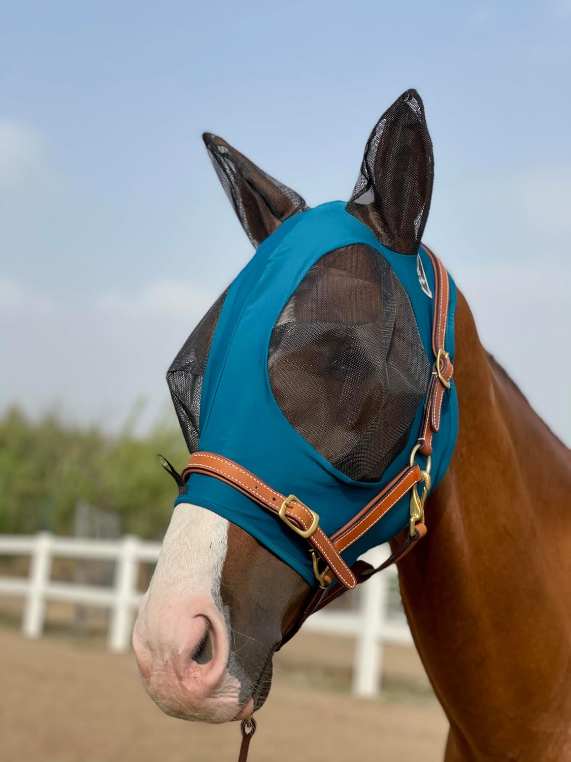 Horse Fly Mask Super Comfort Horse Fly Mask Elasticity Fly Mask with Ears We Only Make Products
