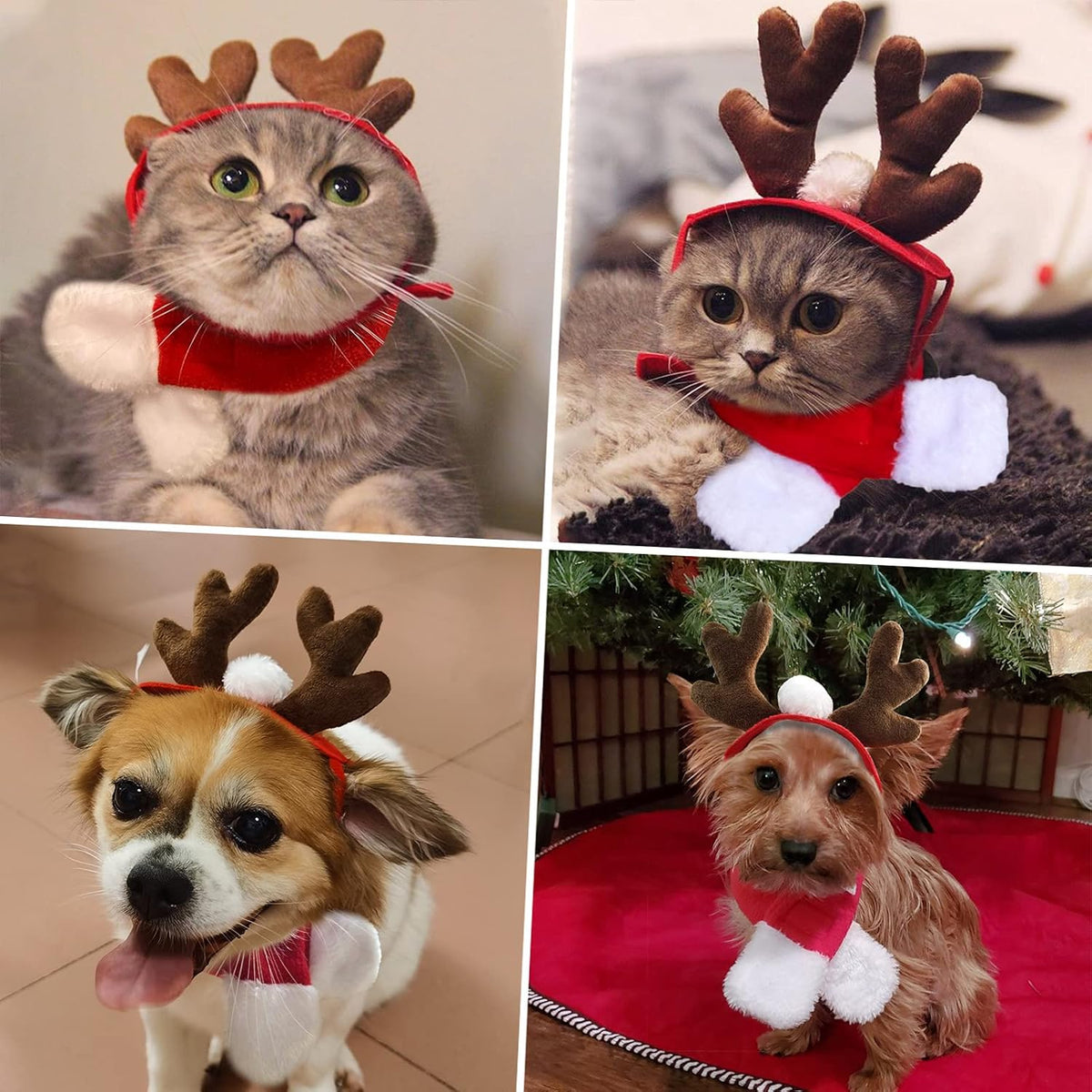 Enjoying Pet Christmas Costumes for Cats Small Dogs, Cat Reindeer Antlers Headband with Xmas Scarf